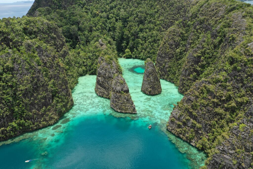 Corais em Raja Ampat, Indonésia