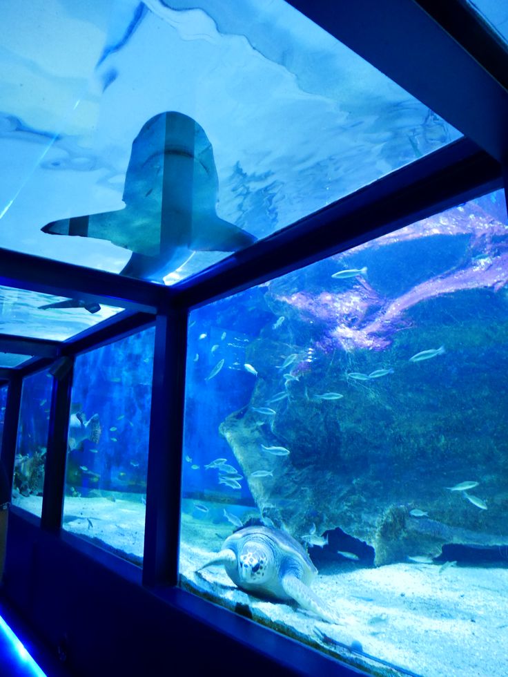 Seaquarium du Grau-du-Roi